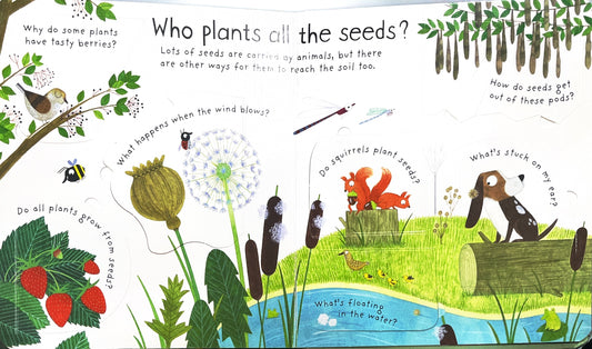 How do flowers grow?