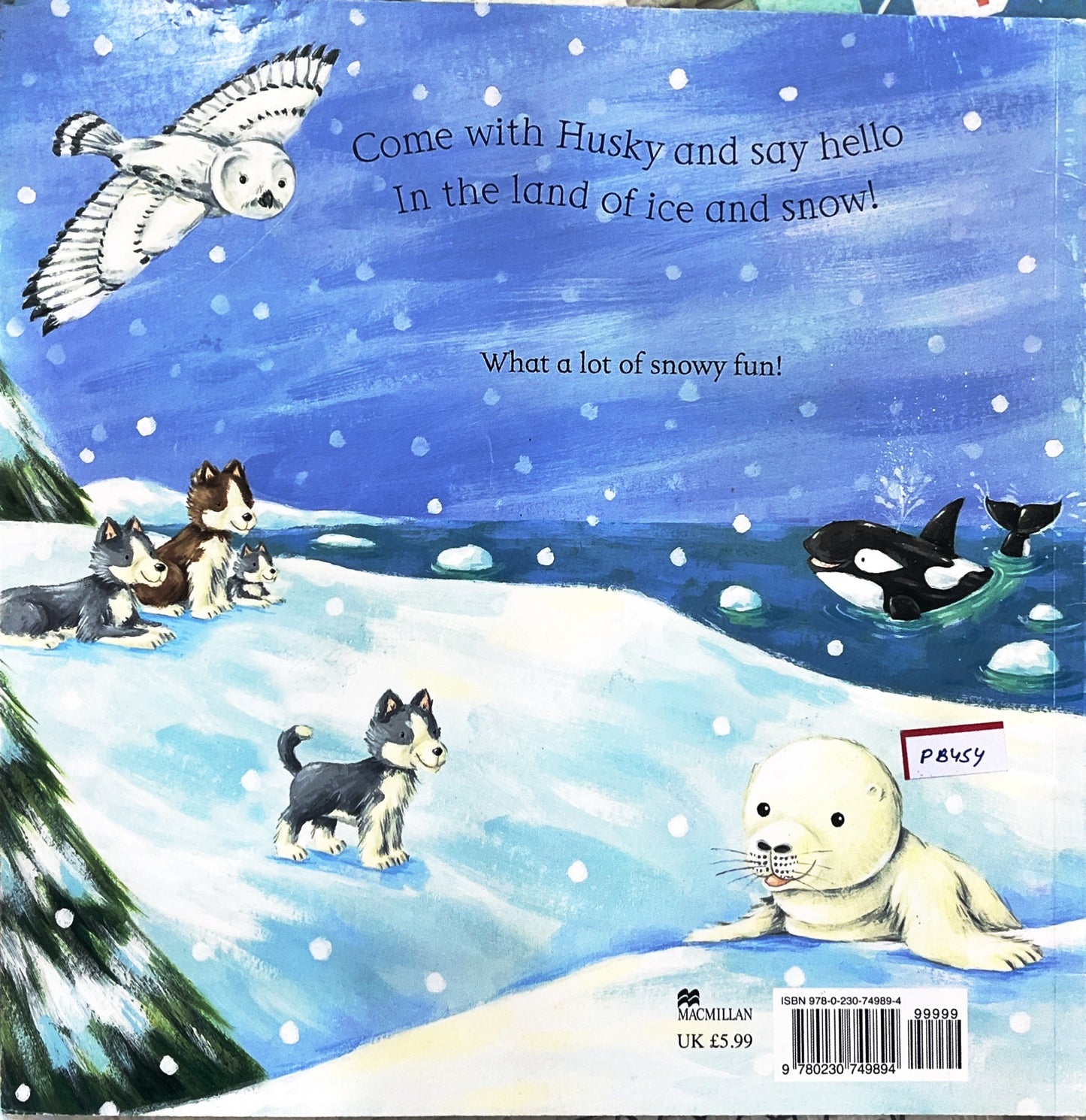 Say Hello to the Snowy Animals (Touch and Feel)