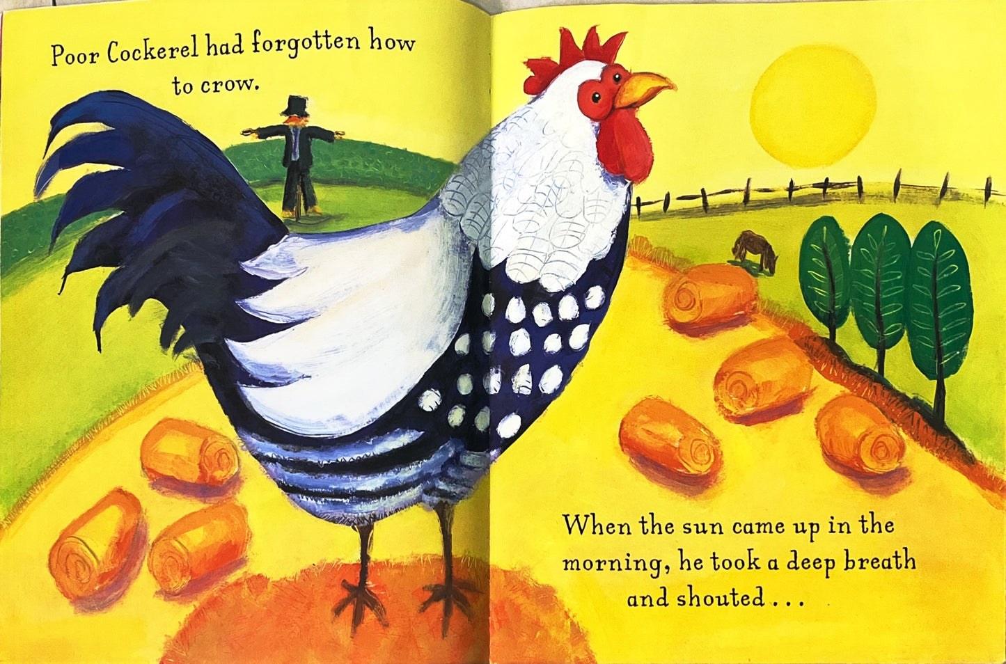 Cock-a-Moo-Moo (Paperback)