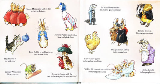 Peter Rabbits Colours (Hardcover)
