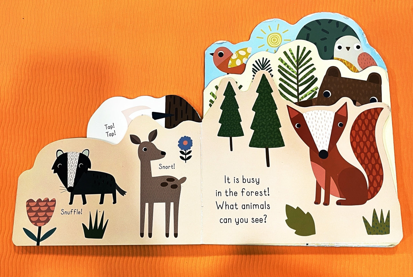 Forest (Wobbly Book)