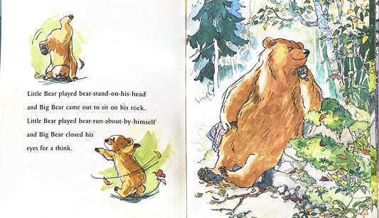 Can't you sleep little bear?