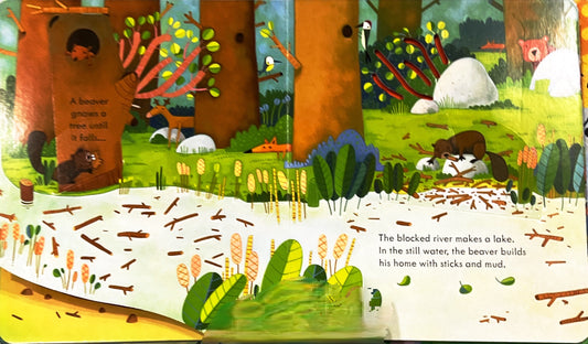 Usborne Peep Inside Animal Homes (Bestseller)