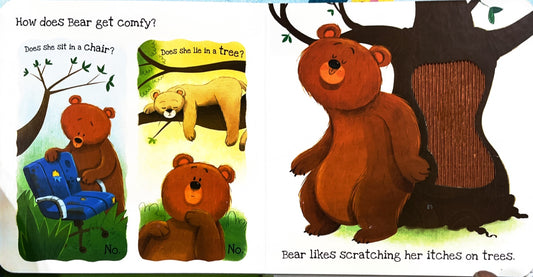 What does Bear Like? (Touch and Feel)