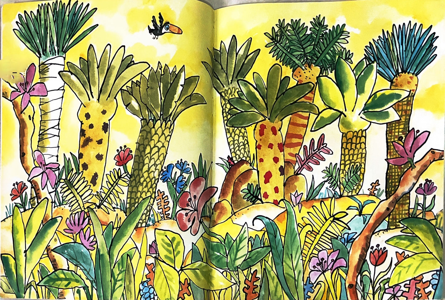 Go tell it to Toucan (Paperback)