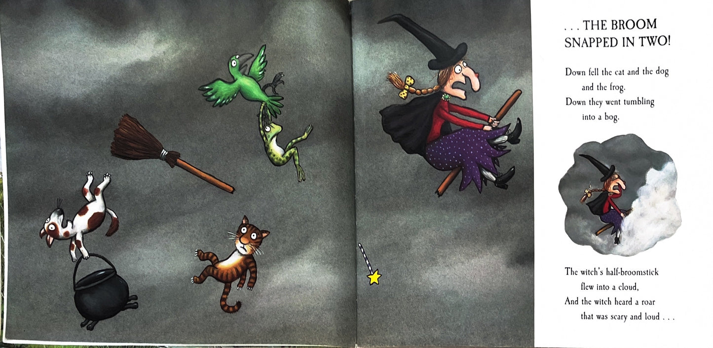 Room on the Broom (Paperback)
