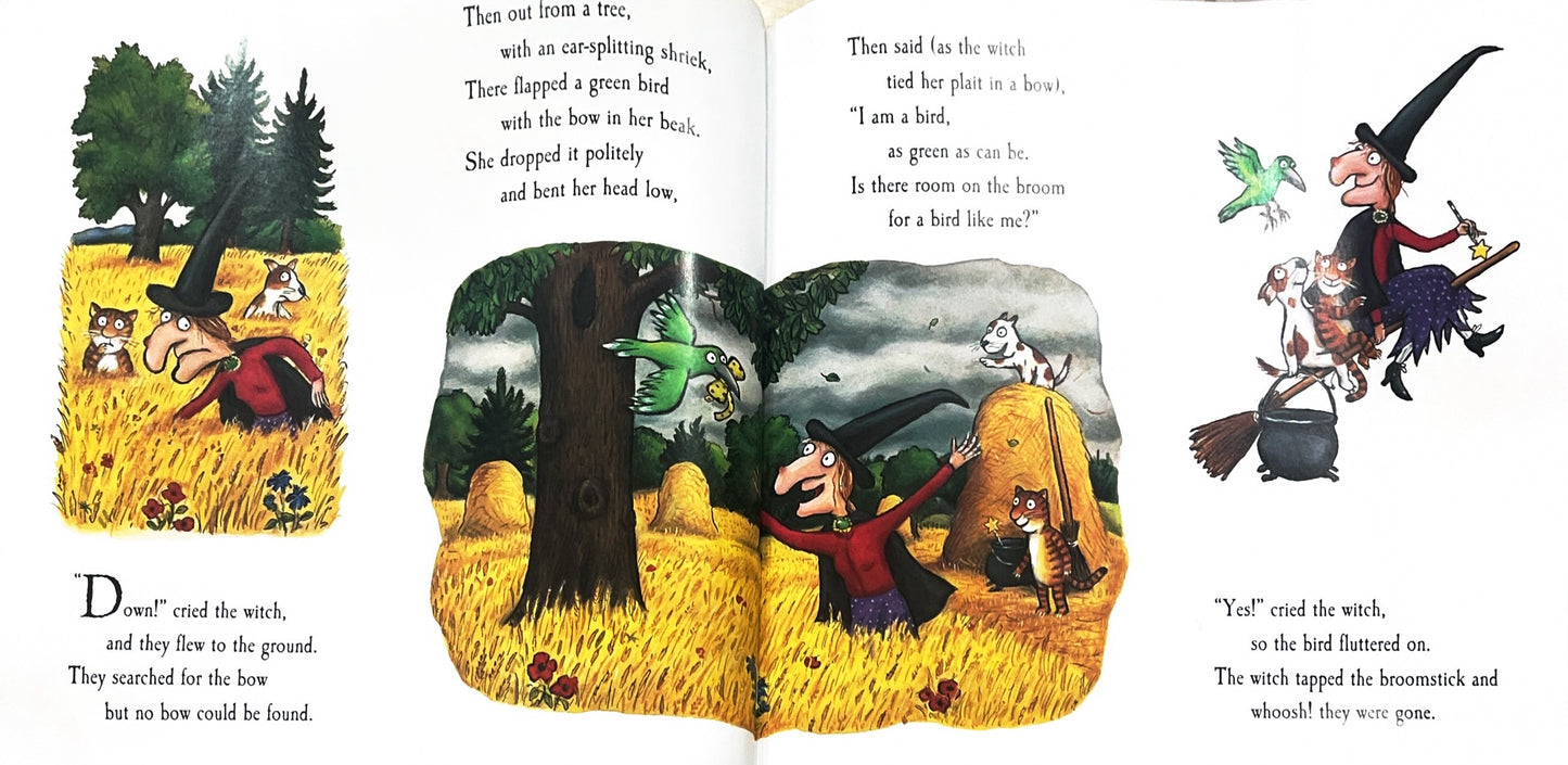Room on the Broom (Paperback)