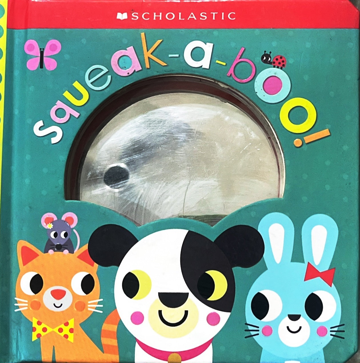 Squeak A Boo (sound and Mirror Book)