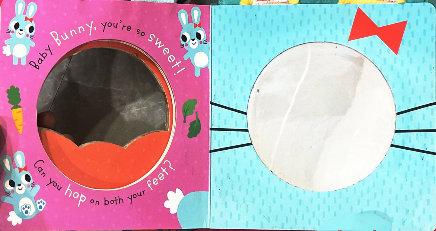 Squeak A Boo (sound and Mirror Book)