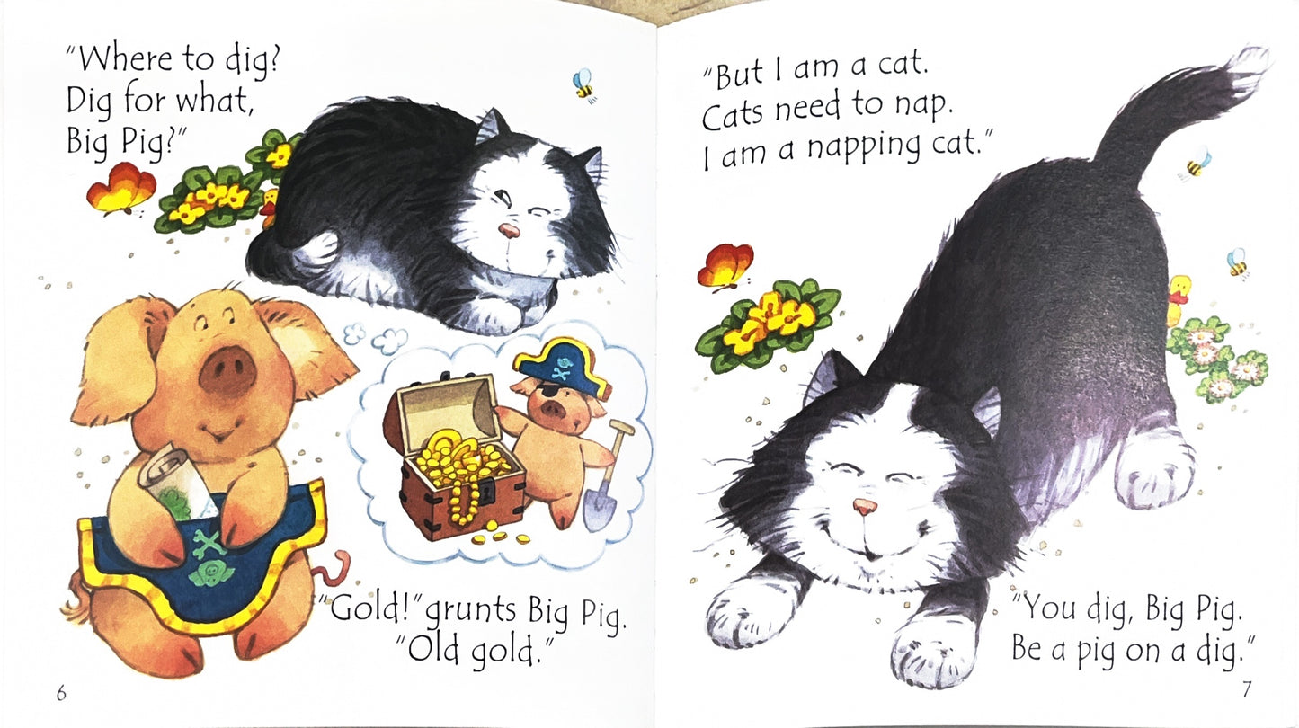 Usborne Big Pig on a dig (Phonics)