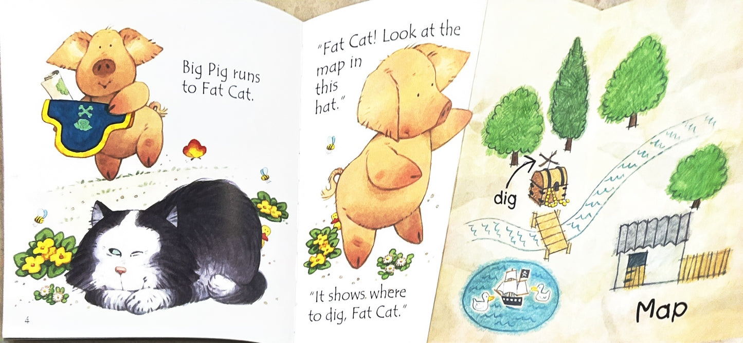 Usborne Big Pig on a dig (Phonics)