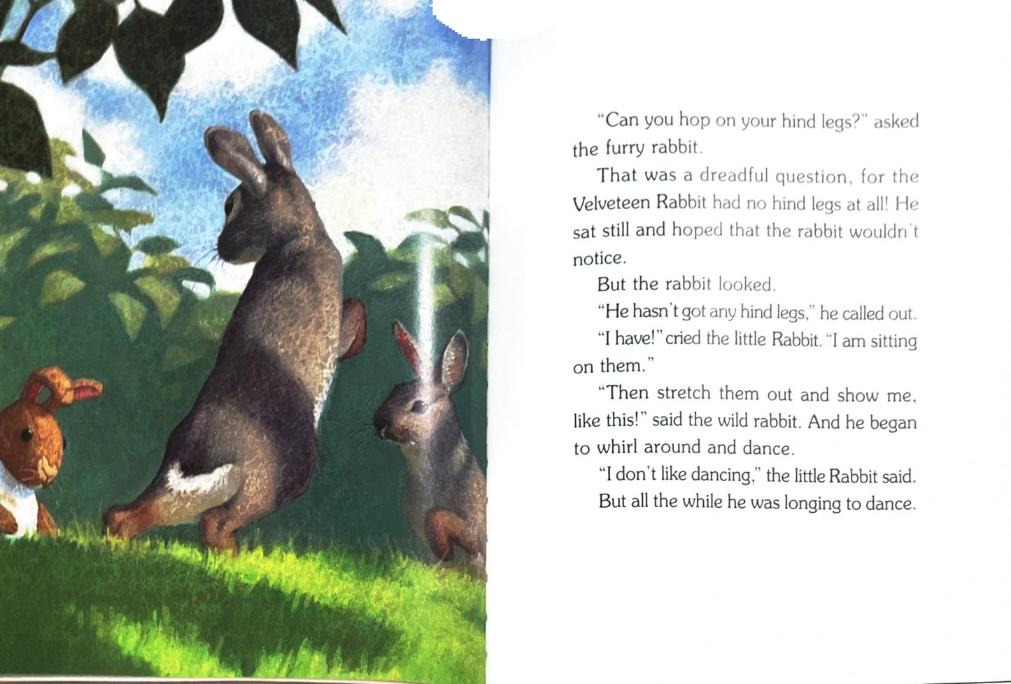 The Velveteen Rabbit