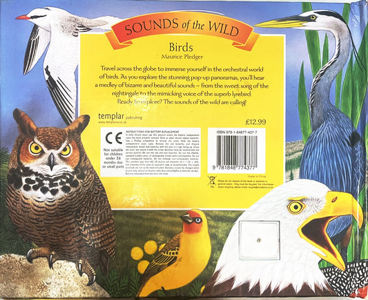 Birds (Pop Up Book)