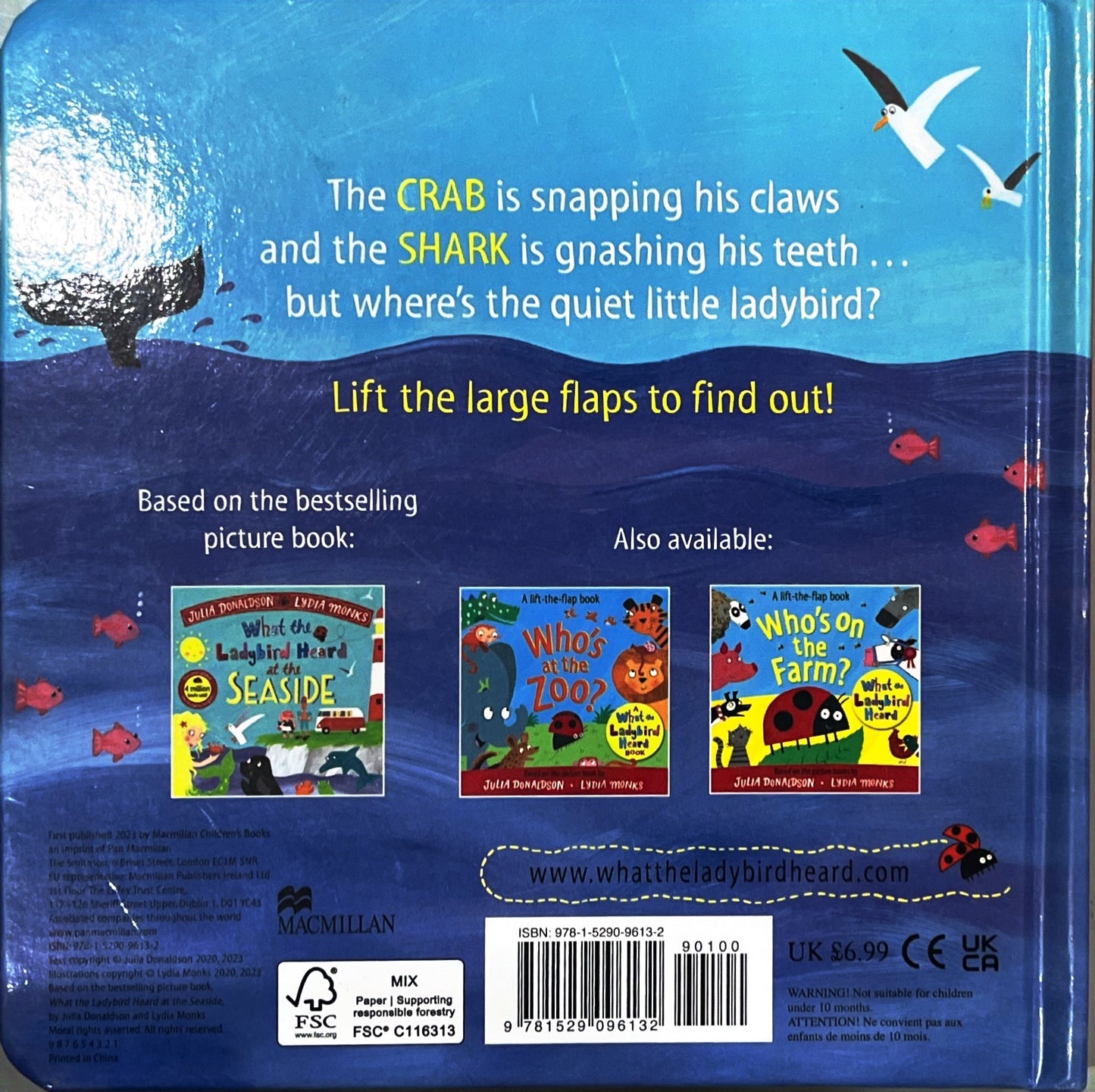 Who's at the seaside? (Lift the Flaps)