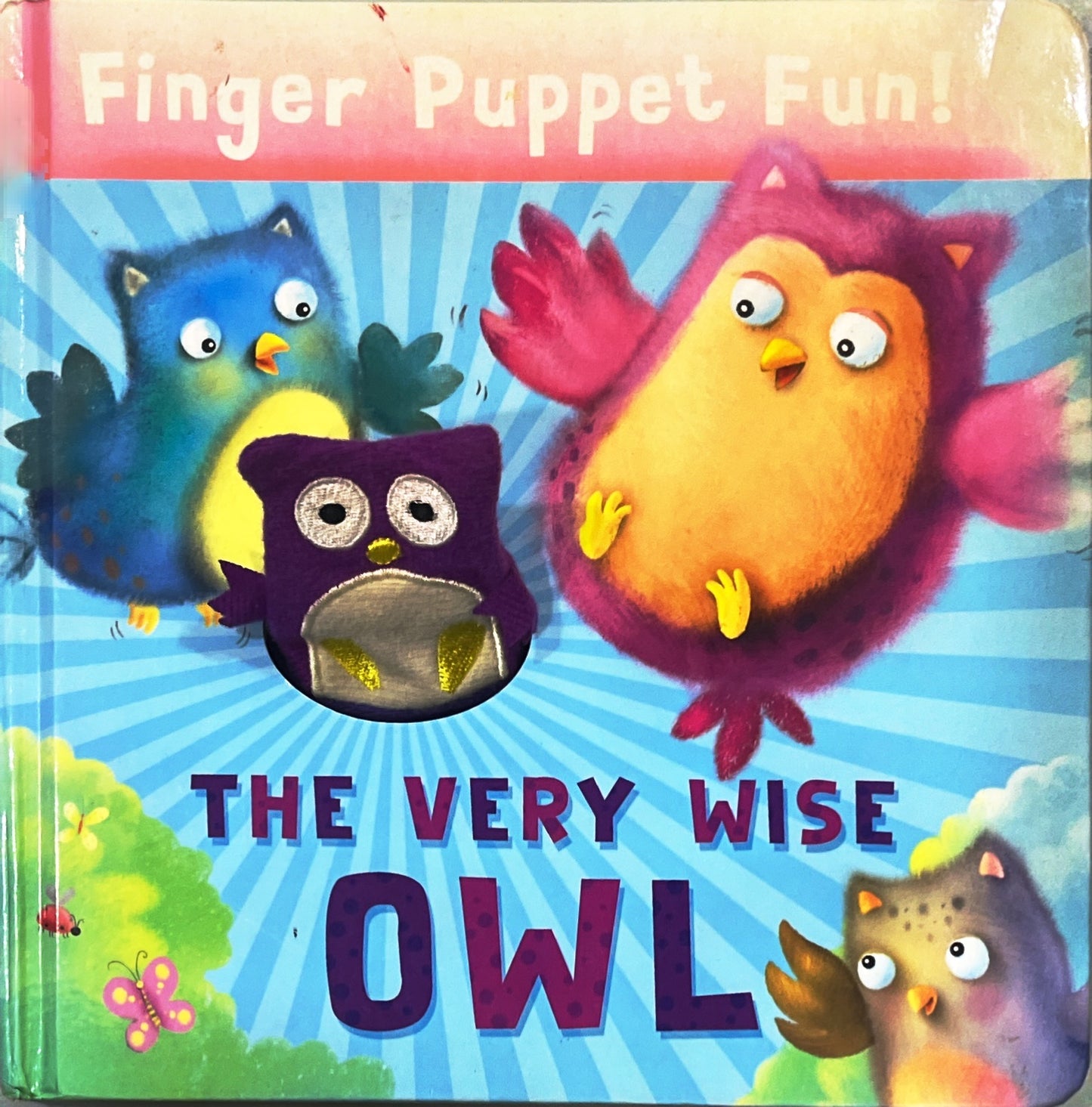 The Very wise owl (Puppet Book)