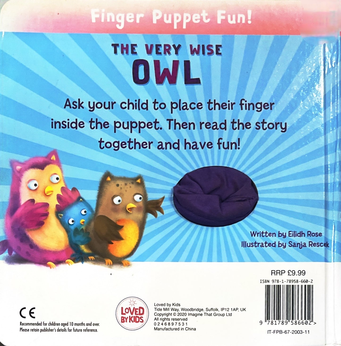 The Very wise owl (Puppet Book)