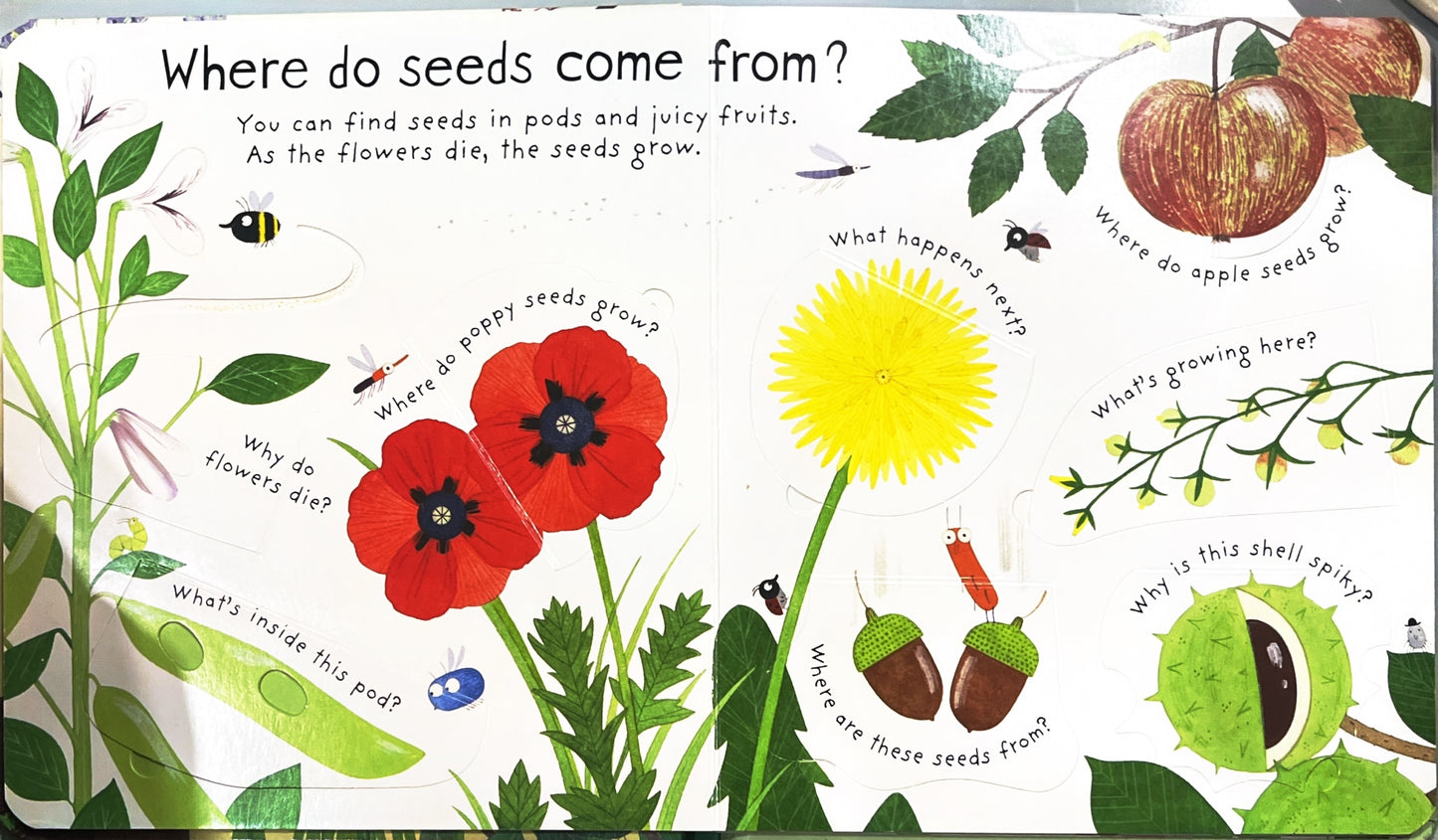 How do flowers grow?