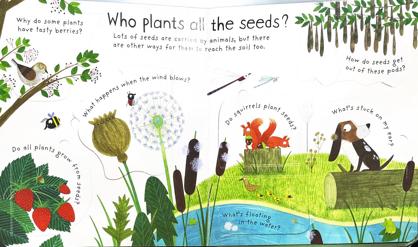 How do flowers grow?