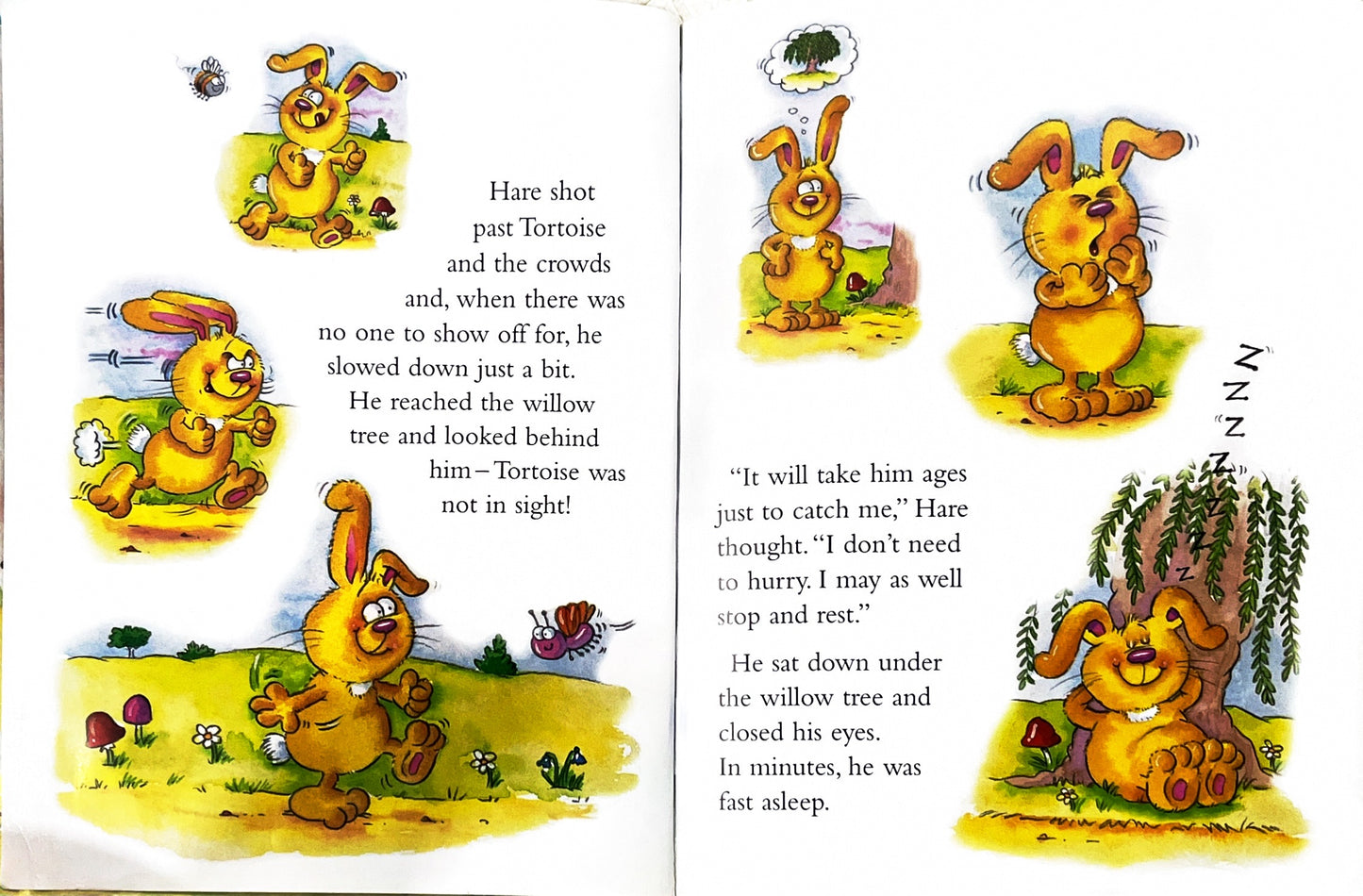 The Hare and the tortoise