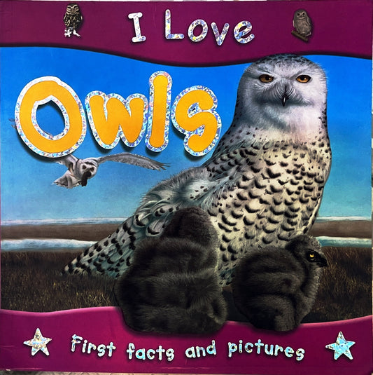 I Love Owls