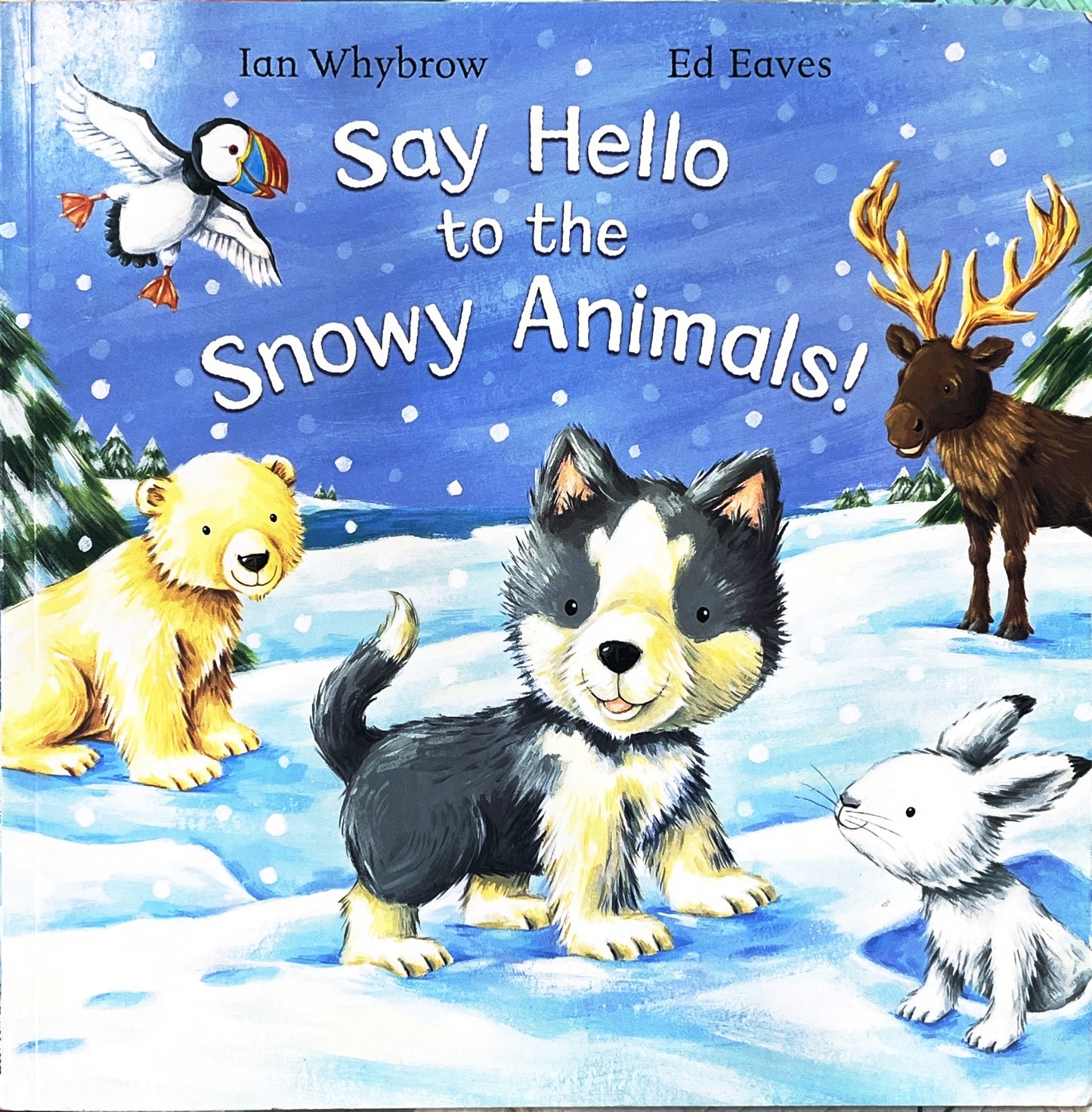Say Hello to the Snowy Animals (Touch and Feel)