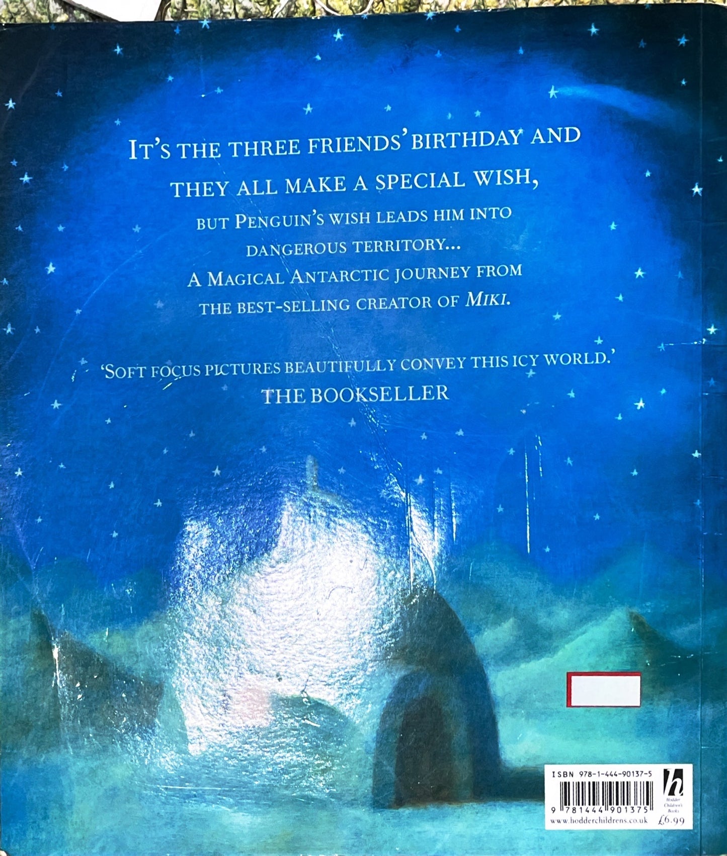 Miki and the Wishing star