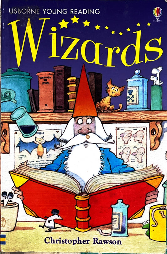 Wizard (Usborne Young Reading)