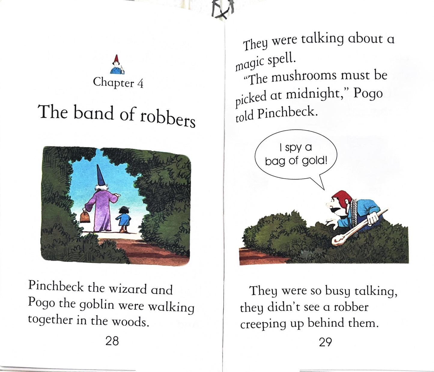 Wizard (Usborne Young Reading)