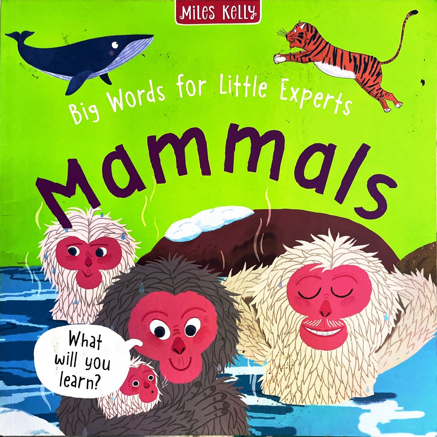 Mammals