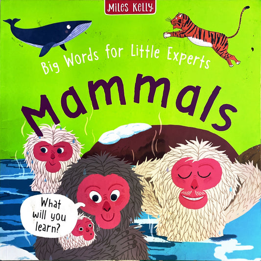 Mammals