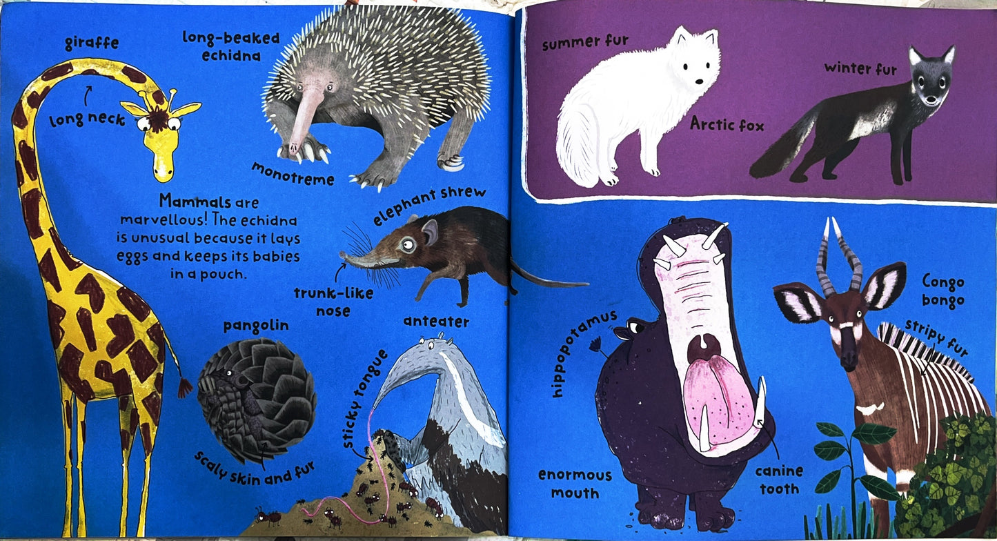 Mammals