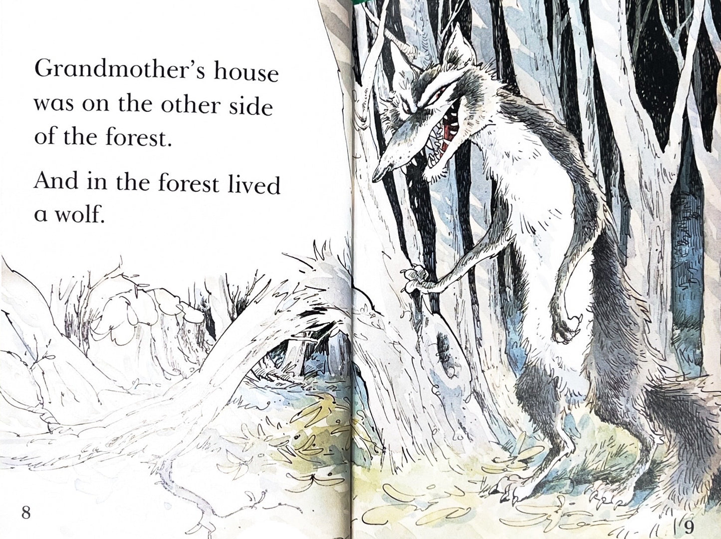 Little Red Riding Hood (Hardcover)