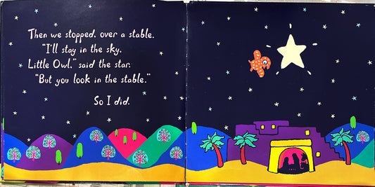 Little Owl and the star (Hardcover)
