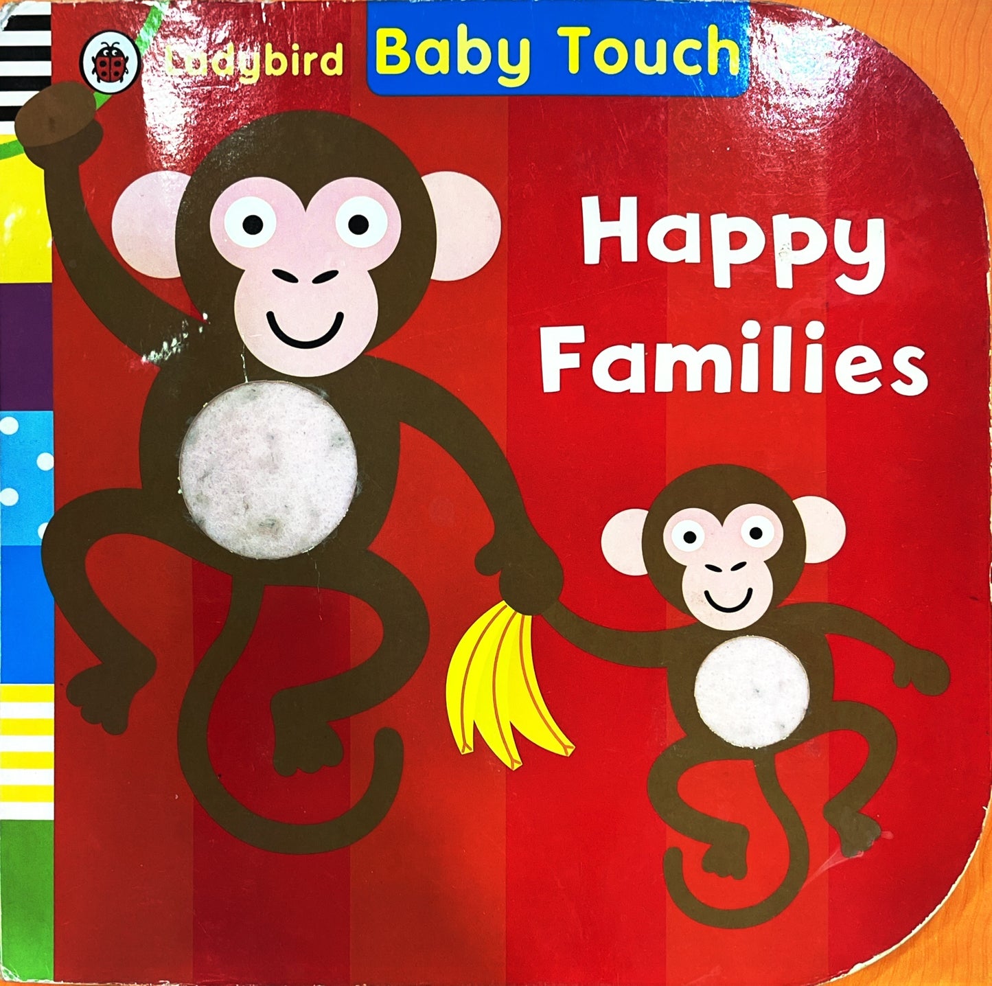 Animal Families (Touch and Feel)
