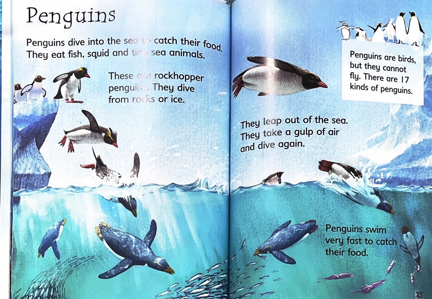 Usborne Under the Sea