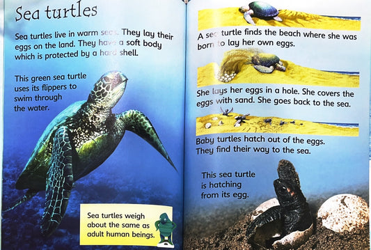 Usborne Under the Sea
