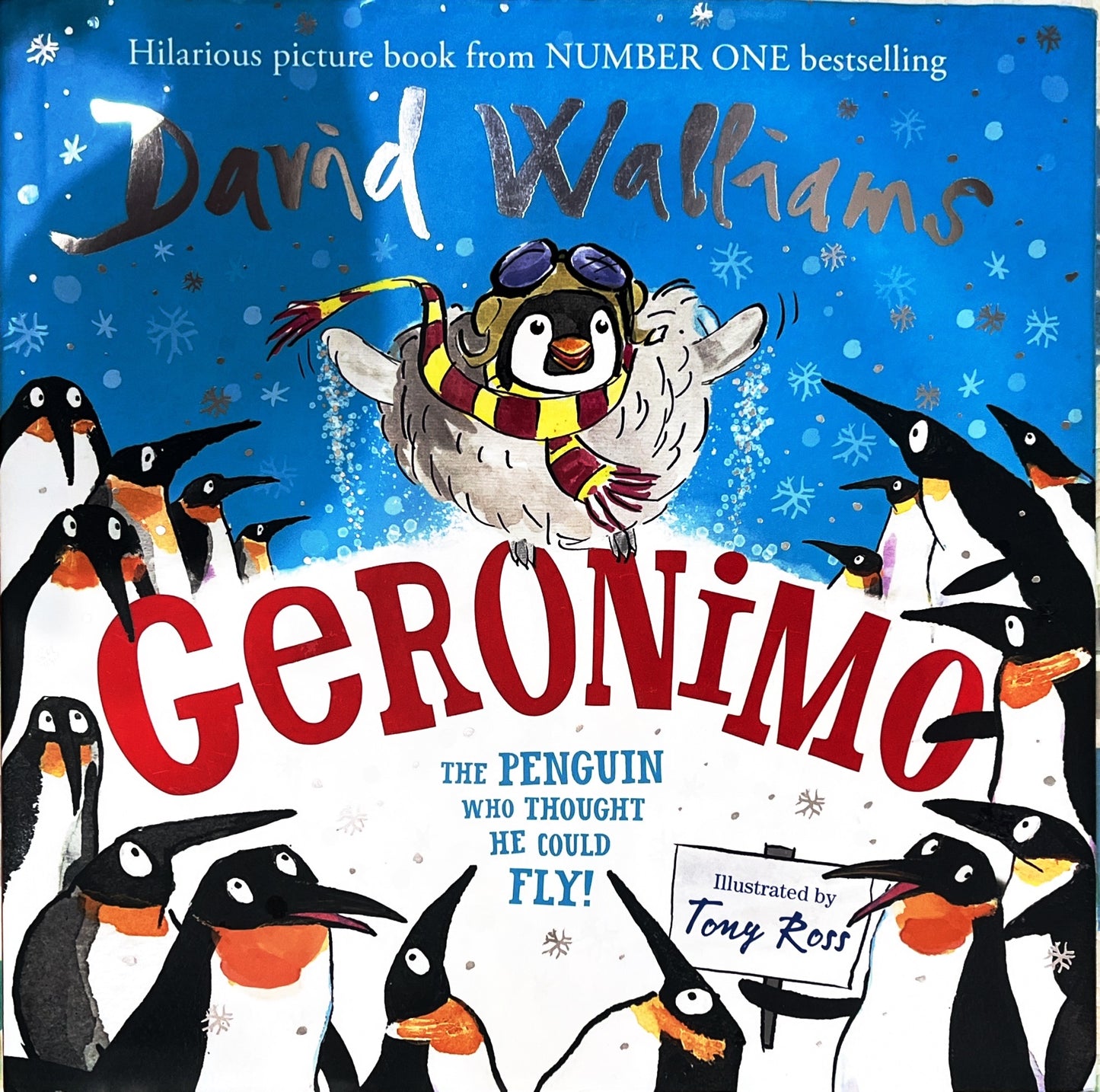 Geronimo (Hardcover)