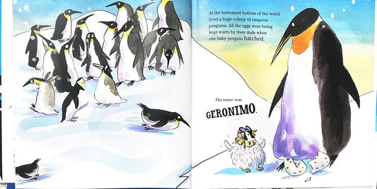 Geronimo (Hardcover)