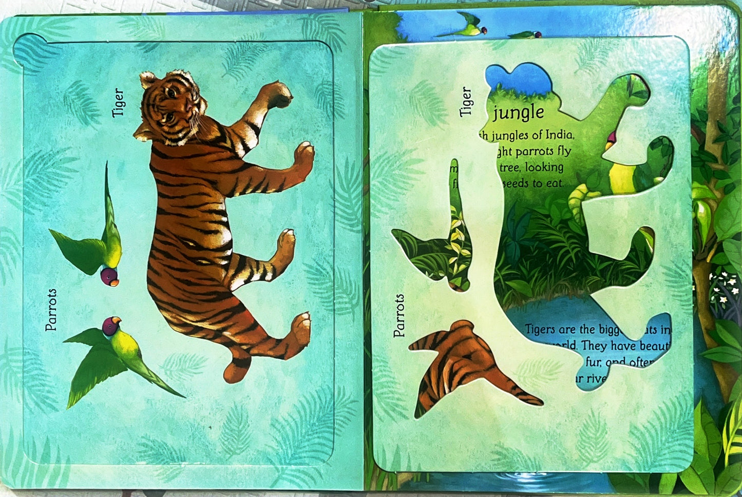 Animal Stencil book (Stencil Book)