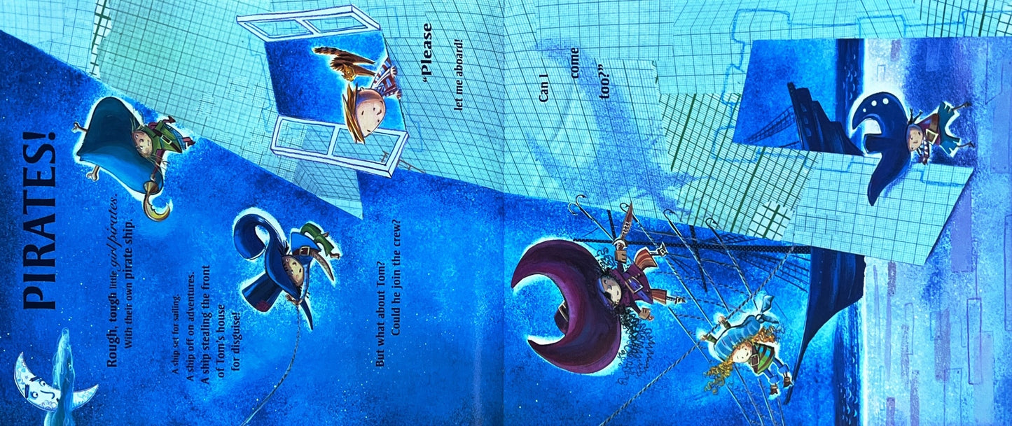 The night Pirates (Paperback)