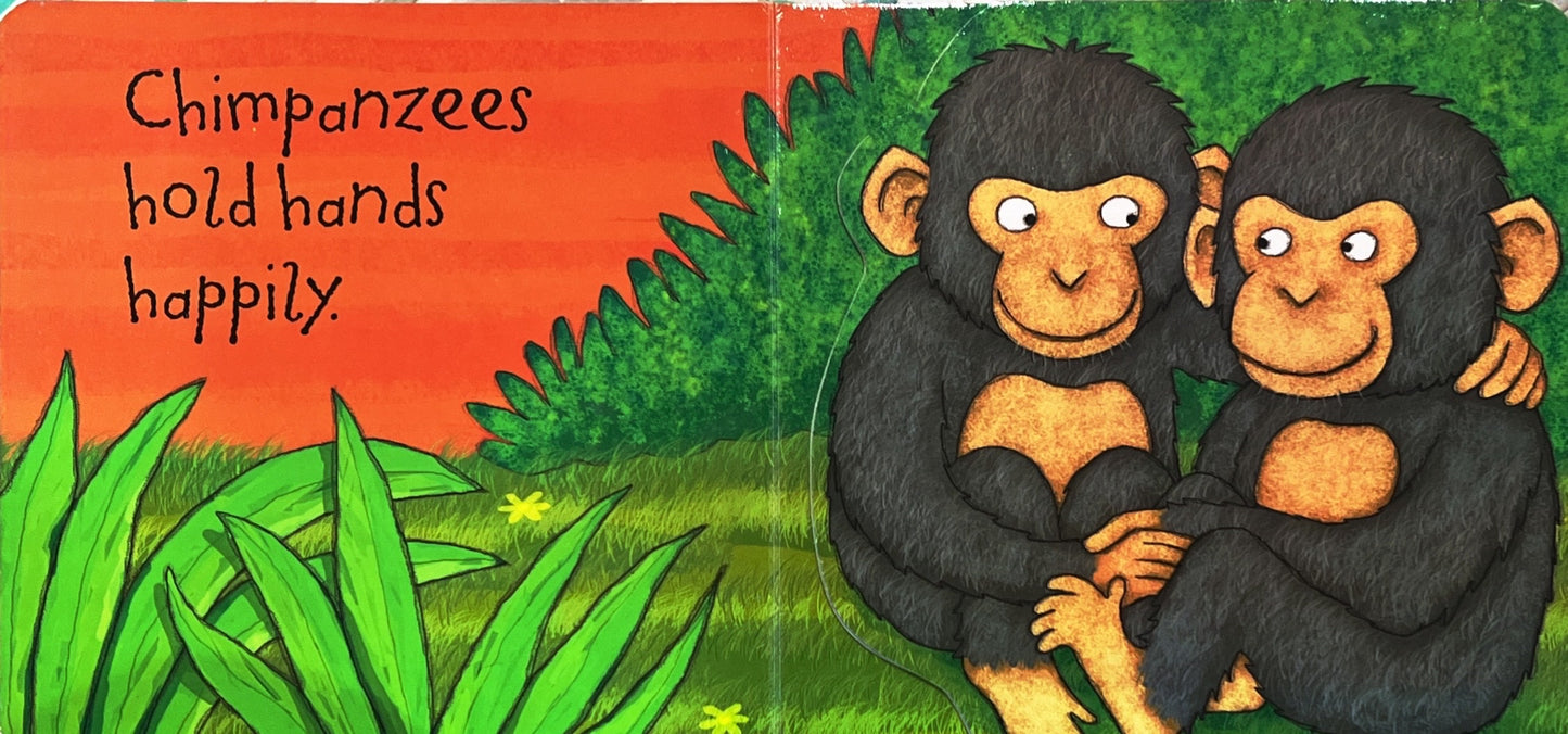 Making Friends (Flap Book)