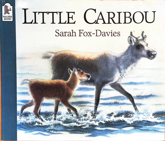 Little Caribou (Paperback)