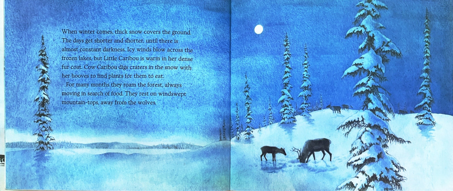 Little Caribou (Paperback)