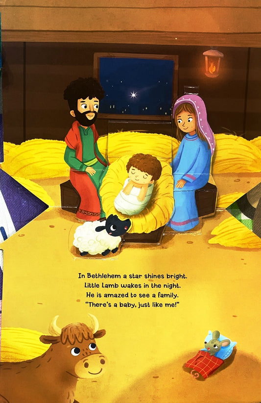 The Nativity (Pop Up Book)
