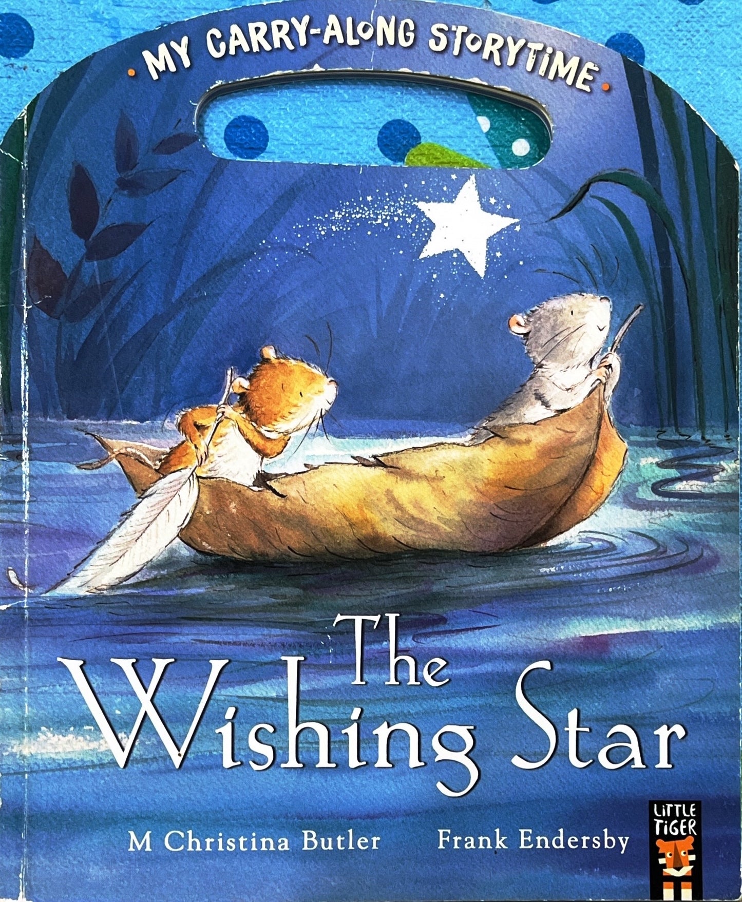 The Wishing Star