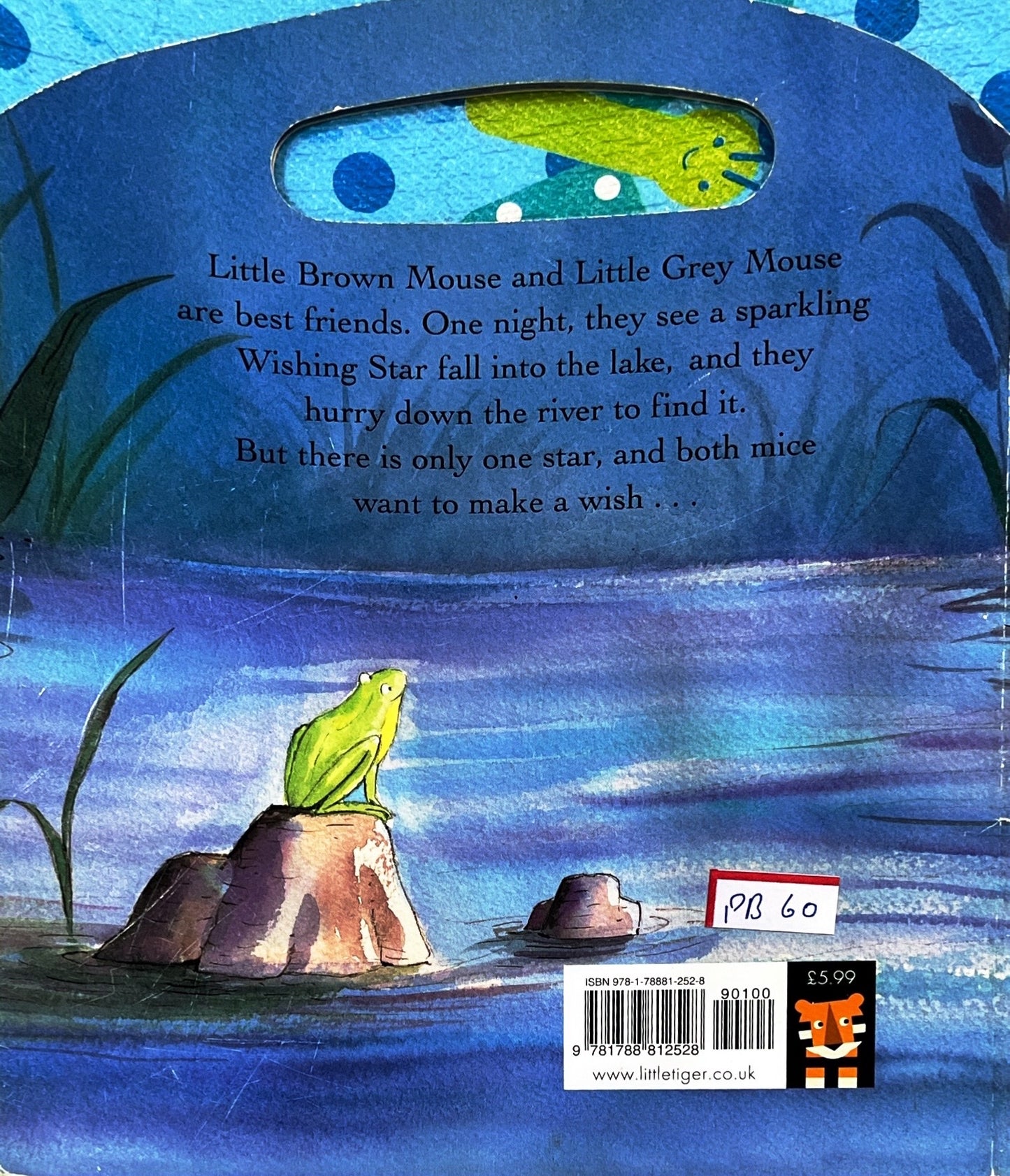 The Wishing Star