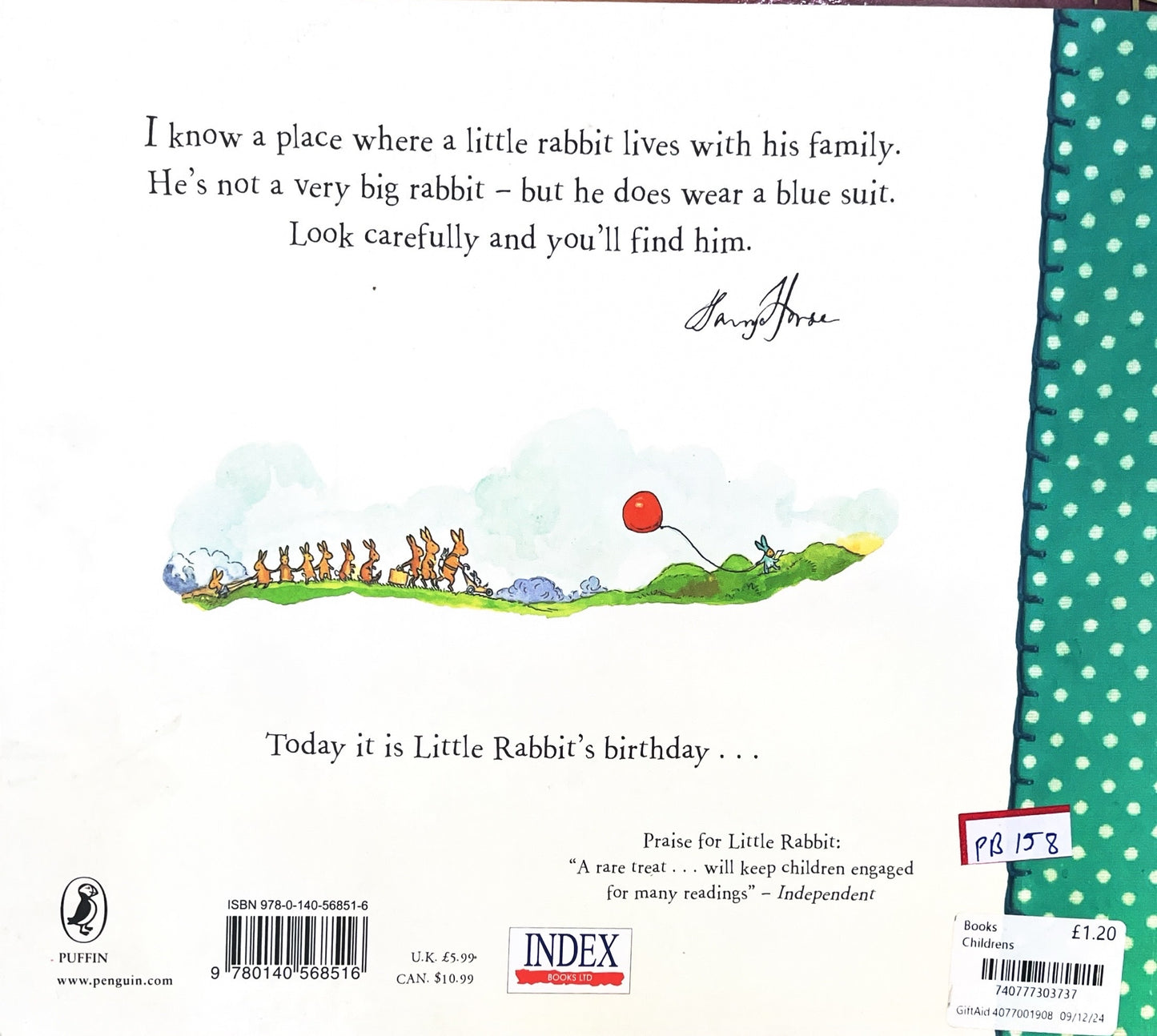 Little Lost Rabbit