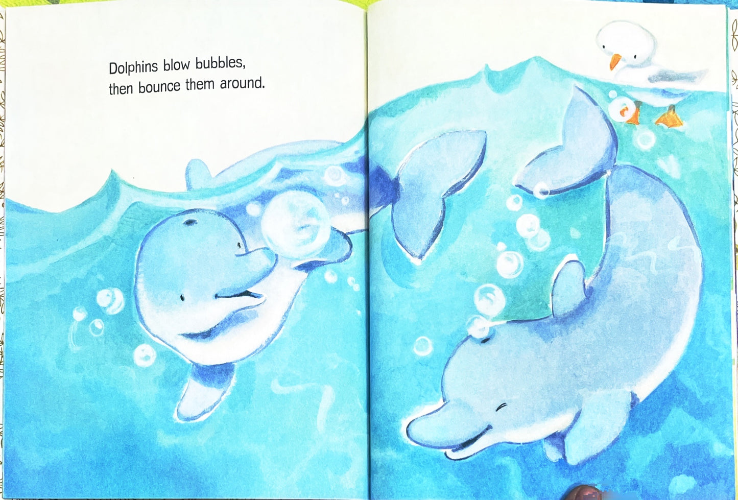 How do Penguins Play