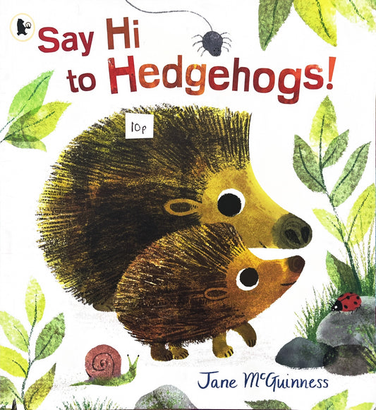 Say Hi To Hedgehogs (Paperback)