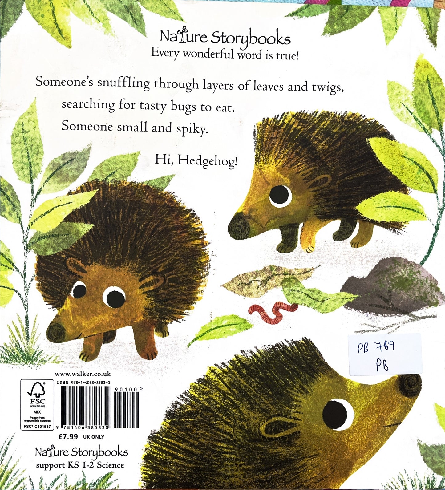 Say Hi To Hedgehogs (Paperback)